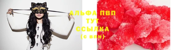 СК Костерёво