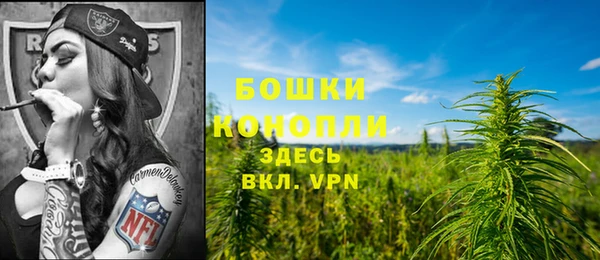 первитин Коряжма