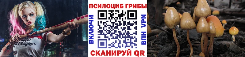Псилоцибиновые грибы Psilocybe  дарнет шоп  Талдом 